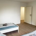 BRL01 und BRL02 – Bild 6
